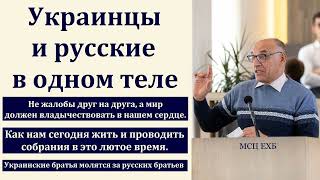 "Облекитесь в нового человека". В. А. Гомон. МСЦ ЕХБ