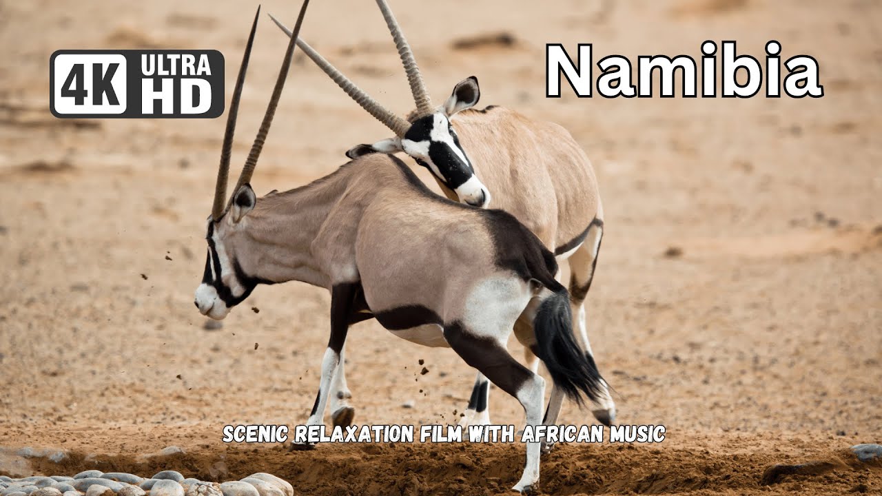 Namibia 4K - Amazing Relaxation Film With African Music - Ultra HD | Wildlife | Wild Animals