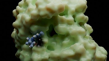 Alpha-Glucosidase Allosteric Binding: 4K Hyper-realistic molecular dynamics simulation