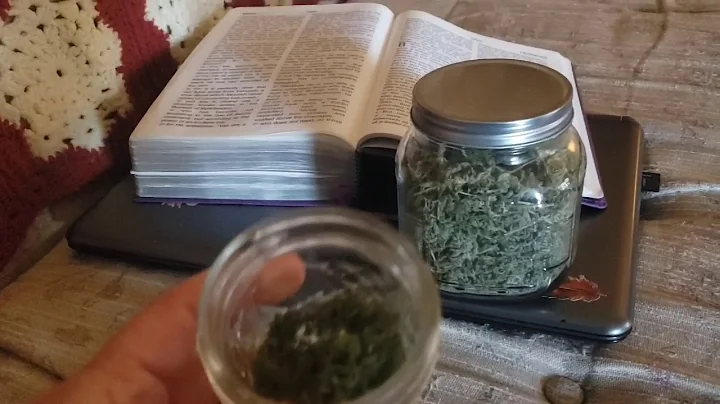 Yarrow ~Blood Stop'r