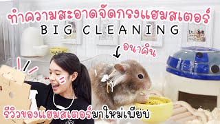 big cleaning ทำความสะอาดจัดกรงแฮมสเตอร์ครั้งใหญ่ !! 🐭🌈