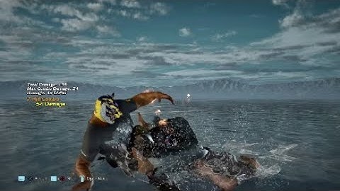 King Low Parry combos