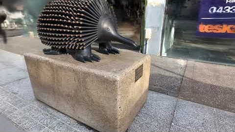 Testing Postshot Beta, Echidna sculpture, Toorak, April 2024, Pixel 8