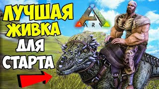 картинка: ARK -  ЛУЧШАЯ ЖИВКА ДЛЯ СТАРТА! Бомжевыживание в АРК от АРКЕРА ПРОФЕССИОНАЛЬНОГО! Пахицефалозавр
