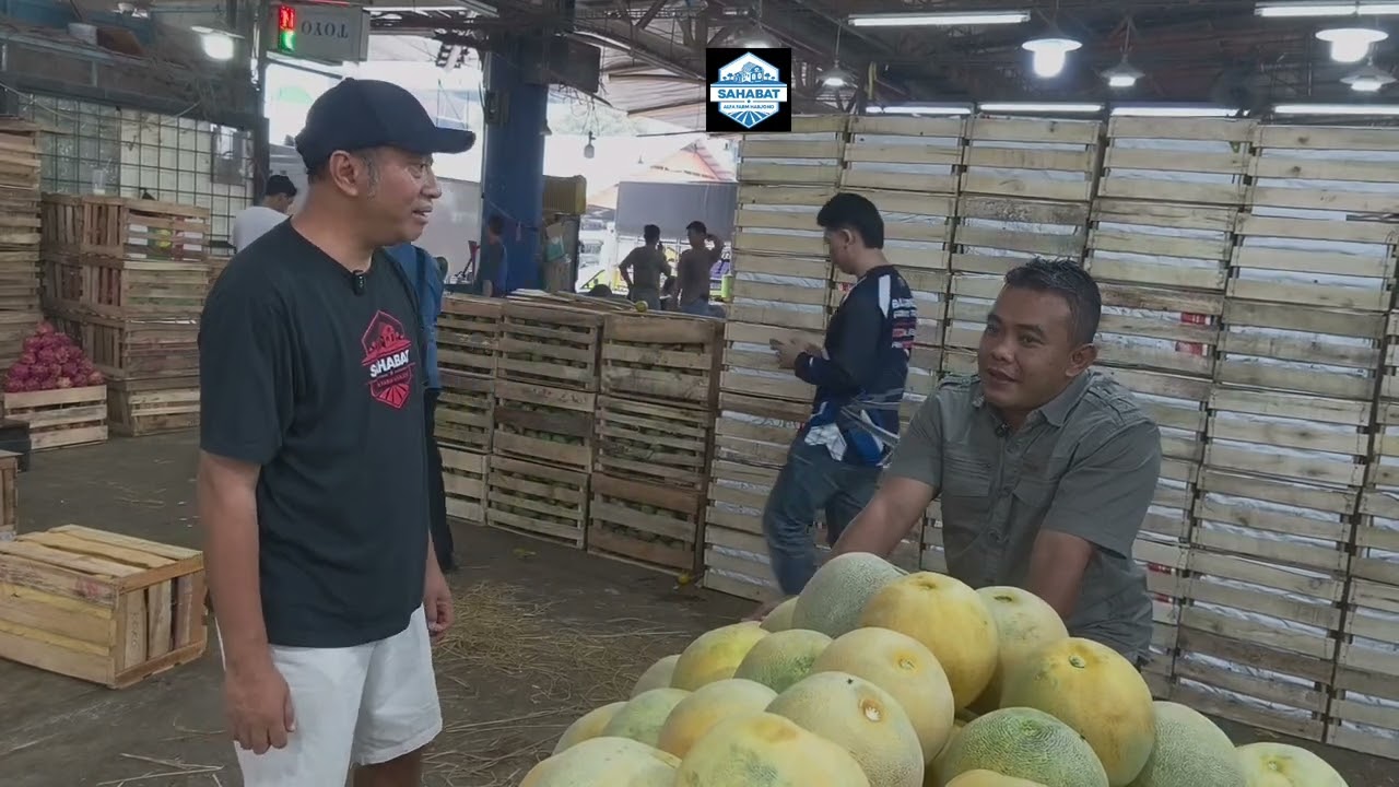 UP DATE HARGA !!! MELON SKY ROCKET , 29 JUNI 2025 DI PASAR INDUK KRAMAT JATI