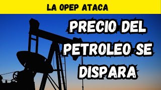 El precio del petroleo se dispara: La OPEP vuelve a ATACAR