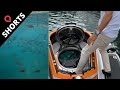 Luxury submarine can dive to depths of 300 meters  swns shorts