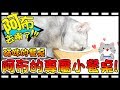【Bonnie】阿布在哪裡?! - 貓咪小餐桌│阿布終於有專屬的餐桌了 ! ! 新技能觸發小雞逗貓棒 ! !