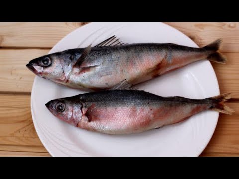 Рыба Красноглазка Фото Где Водится