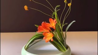 V24-Floral Art: Creativity, Simplicity, Elegance, Ease of Learning插花藝術-創意-簡單-優雅-易學
