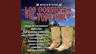 Video thumbnail of "Los Gorriones De Topo Chico - Rincon Norteno"