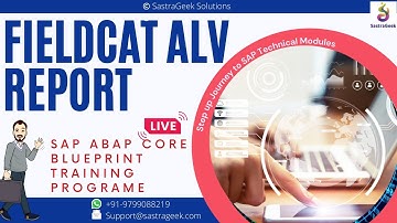 Field Cat ALV Report