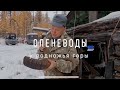 Поездка к оленеводам. Томпонский район