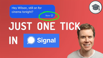 Only One Check Mark On Signal - What Does It Mean?