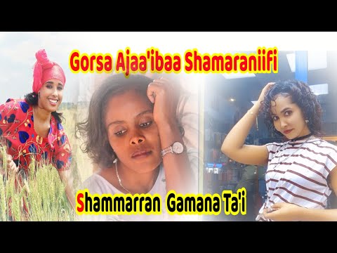 Gorsa Ajaa Ibaa Warra Shamaraniifi Gamana Ta I Durboonni