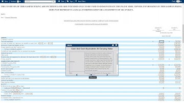 SEC Discussion on Inline XBRL for Public Company Filers