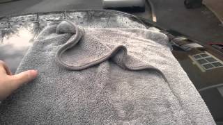 Chemical Guys Wooly Mammoth Drying Towel