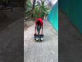 Mind-Blowing Tricks inInline Skating😭🥹🙏😡😨#rollerskating ##skater shoets #tiktok #trendingsongst