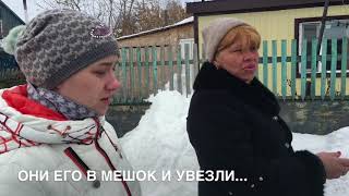 Отлов собак в Костанайском районе Отлов собак в Костанайском районе
