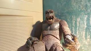 first stop motion test Kong:)