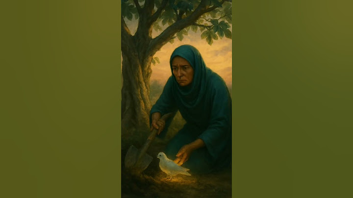 قصة مؤثرة ستجعلك تبكي من الفرح! 😢✨ (جرب ألا تتأثر)