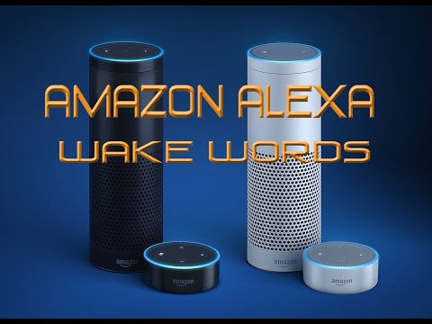 What are the four Alexa wake words?