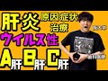 超絶よくわかる!!ウィルス性肝炎 A型肝炎 B型肝炎 C型肝炎 肝硬変 急性肝炎 慢性肝炎【病理学】【臨床医学】【解剖生理学】