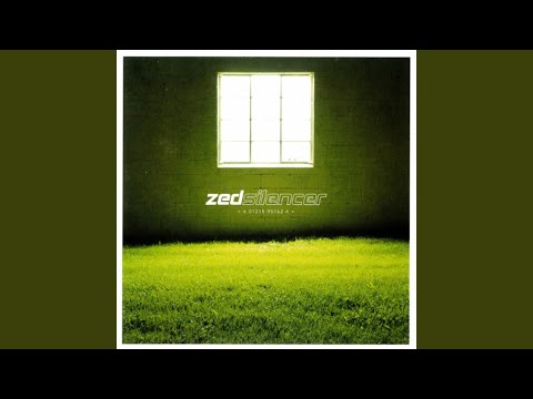 Renegade Fighter - Zed