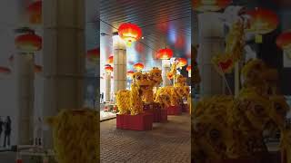 Chinese New Year Dragon Dance