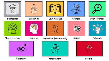 Every Level of Human Intelligence Explained in 15 Minutes