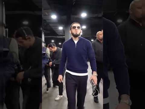 Кто победит – Махачев или Маддалена? Роберт Уиттакер делится прогнозом. #ufc #исламмахачев
