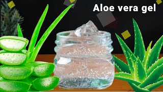 How To Make Aloe Vera Gel at Home | 100% Pure ✅| How To Make Aloe Vera Gel And Store It For Years 🌵