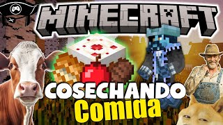 Celebrity Cosechando y cazando para alimentarme | Minecraft Survival Episodio #7 | Pirata Digital Wealth