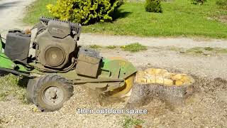 Lawn Army – Tree Stump Removal Transformation
