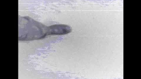 SCENE-SELECTION 24  last run  music video