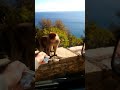 Gouraya Béjaïa