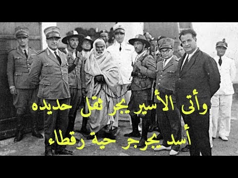 تشبيه تمثيلي بدون أداة تشبيه