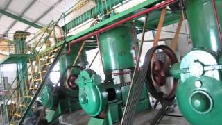 Jatropha Oil Production