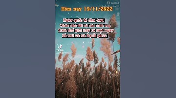 chúc mừng ngày quốc tế đàn ông