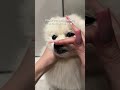 наше любимое средство🤍 (арт: 271212407)