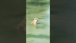 When the ADHD hits hard.