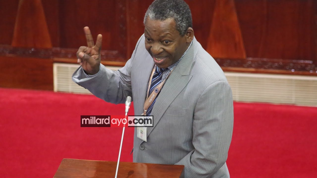 Style aliyoitumia Makongoro Nyerere kuomba kura za ubunge