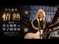 [2019]安全地帶 「情熱」
