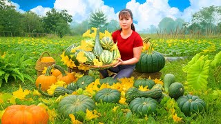 Harvesting 1000 Pumpkins And Pumpkin Flowers Go To Countryside Market Sell Phuong Harvest Life