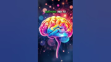 What If Your Brain’s Smell Center Could Unlock Hidden Memories? #Shorts