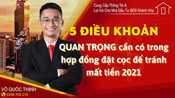 5 điều khoản quan trọng cần có trong hợp đồng đặt cọc để tránh mất tiền 2021 | Thịnh BĐS