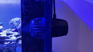 Product Question: Will an EcoTech VorTech MP10 work on 1/2” thick glass?