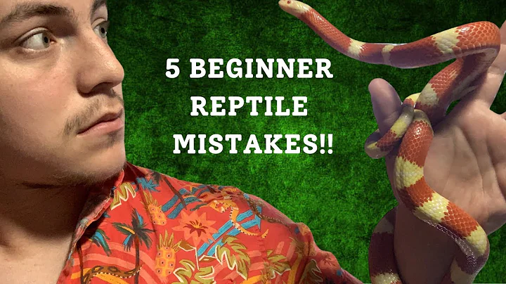5 Beginner Reptile Keeper Mistakes To Avoid