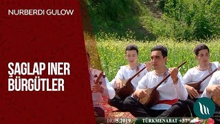 Nurberdi Gulow - Şaglap iner bürgitleri | 2019