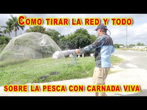 Como elegir una atarraya de pesca lanzamiento equipo y MAS Parte